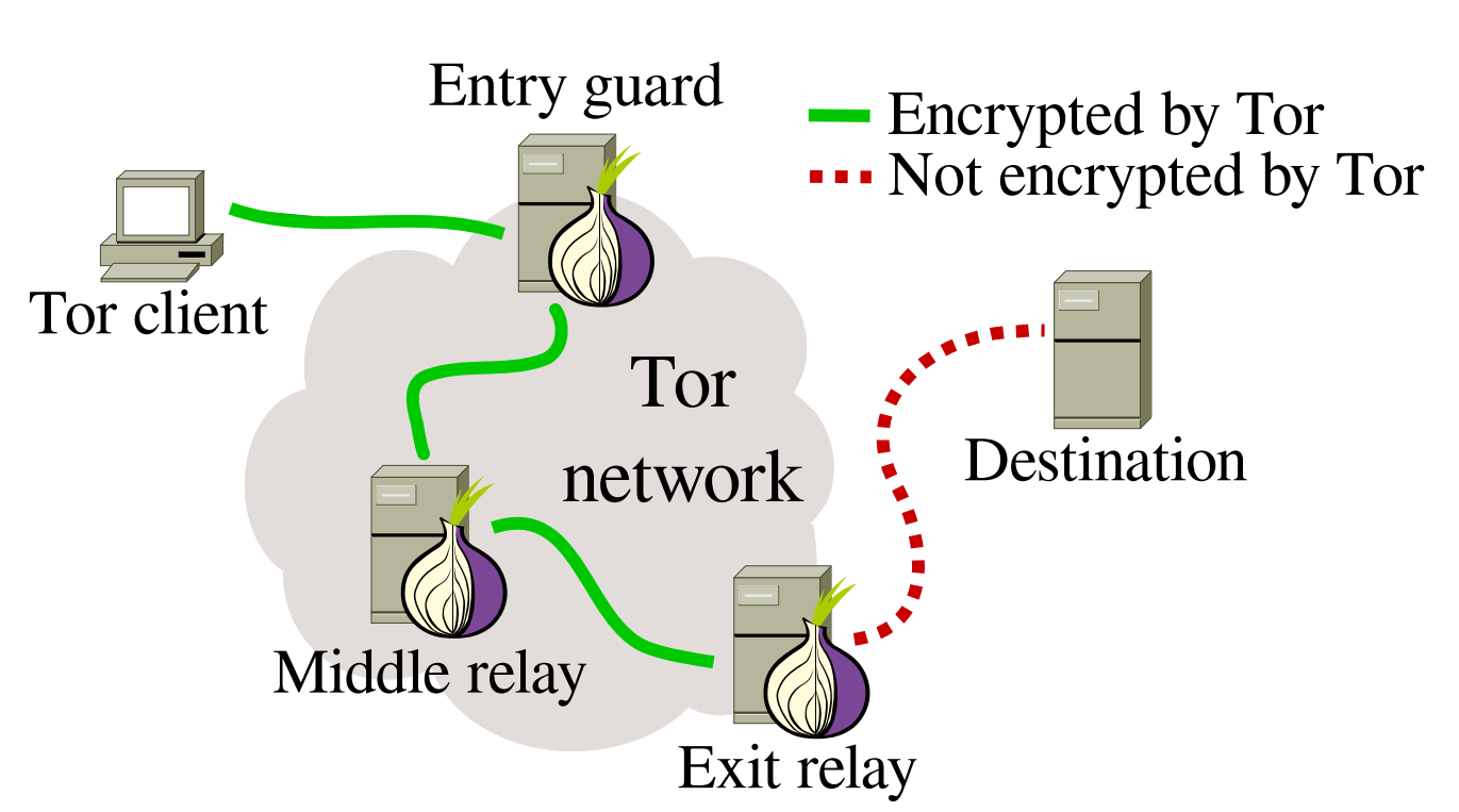 Browser networking. Принцип работы тор. Схема работы тор браузера. Принцип работы тора. Схема сети Tor.